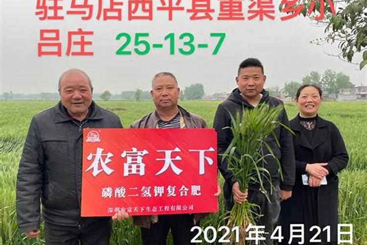 小麦拔节孕穗期,密度大过旺能施复合肥吗？