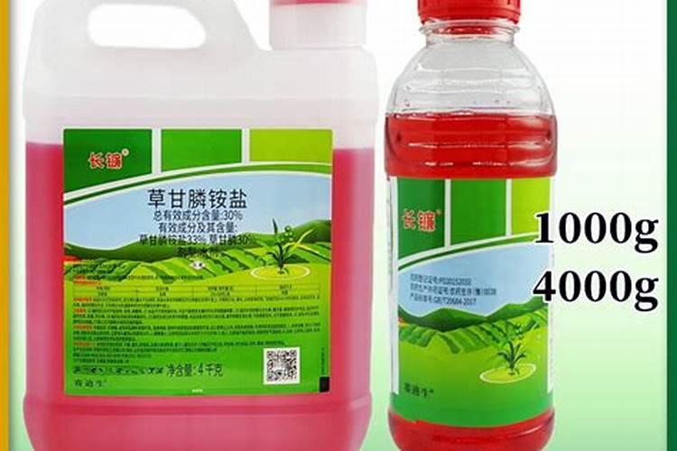 大树烂根用什么药好？