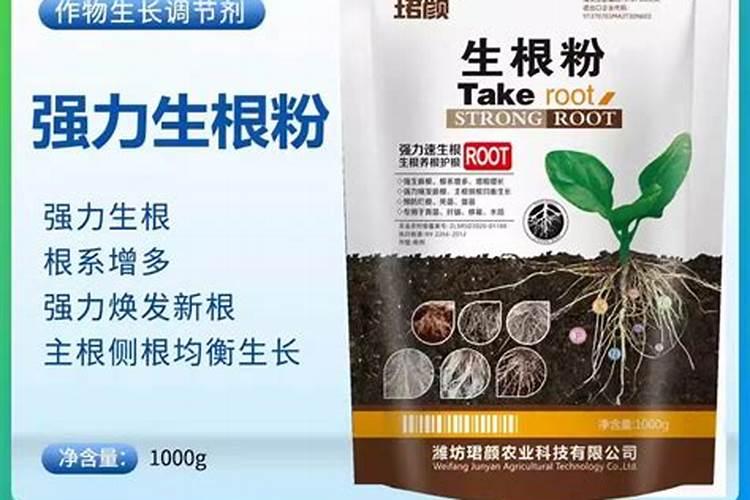 黄瓜生根养根肥料,生根剂用什么好,黄瓜生根剂那种牌的好