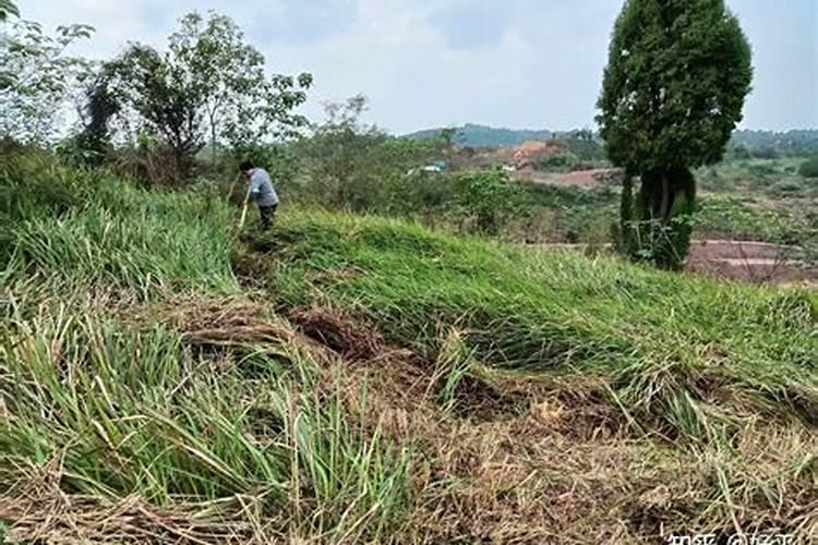 开荒地怎样施肥。