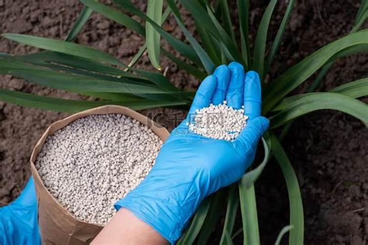 尿素溶解在水里在浇地可以吗