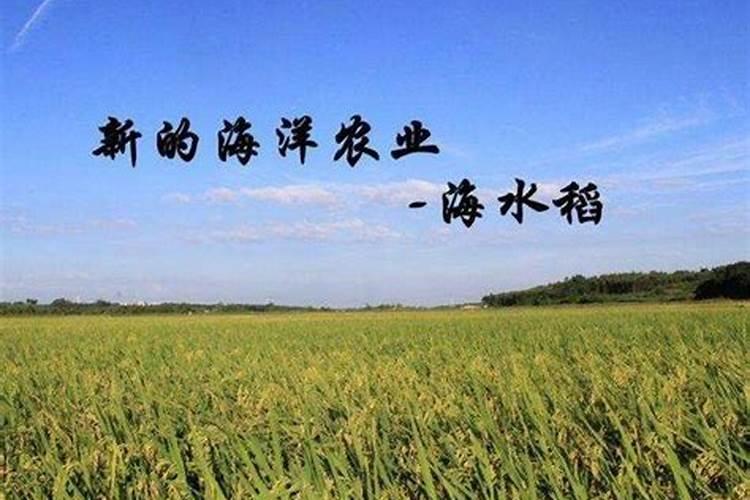 小麦灌浆期多少天,小麦灌浆期如何管理