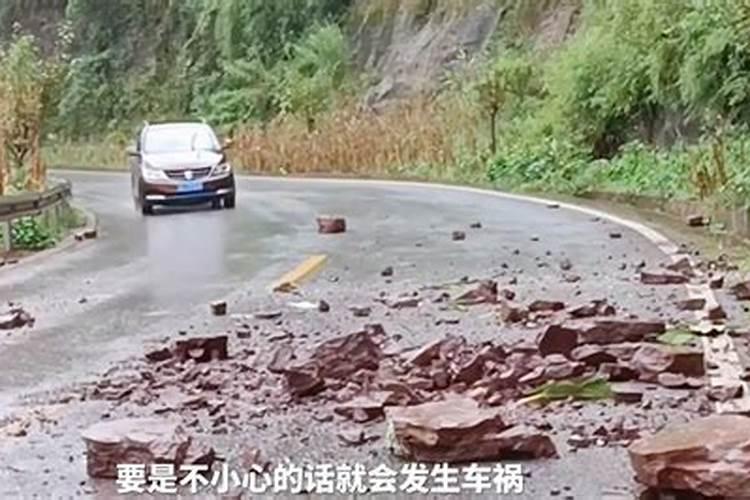 如何才能养好三角梅？