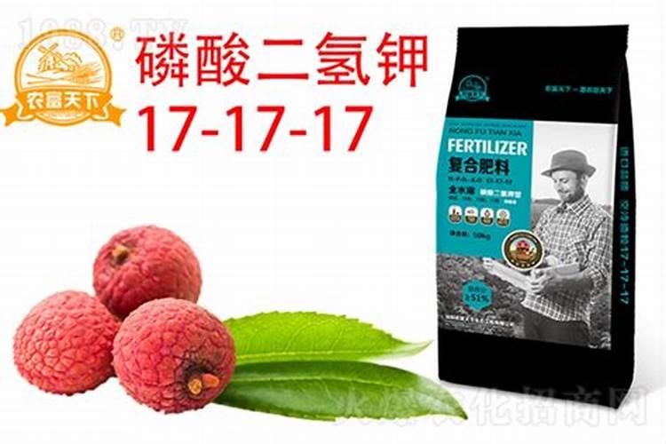 荔枝树施肥及修剪技术