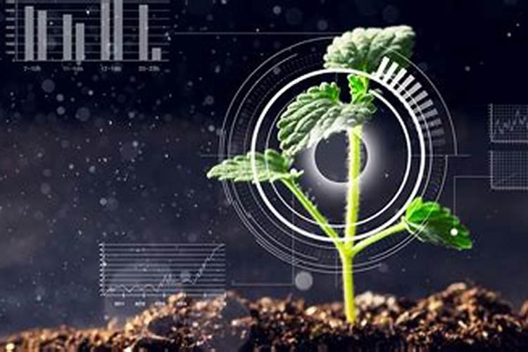 磷肥一亩地施多少