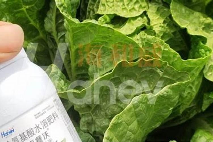 鱼肠肥料属于什么肥 肥效相对都比较均衡