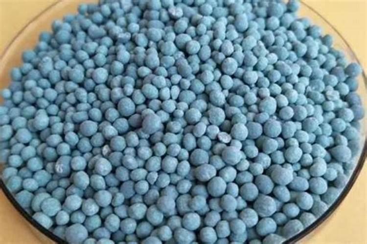 鱼肠做肥料可直接埋吗