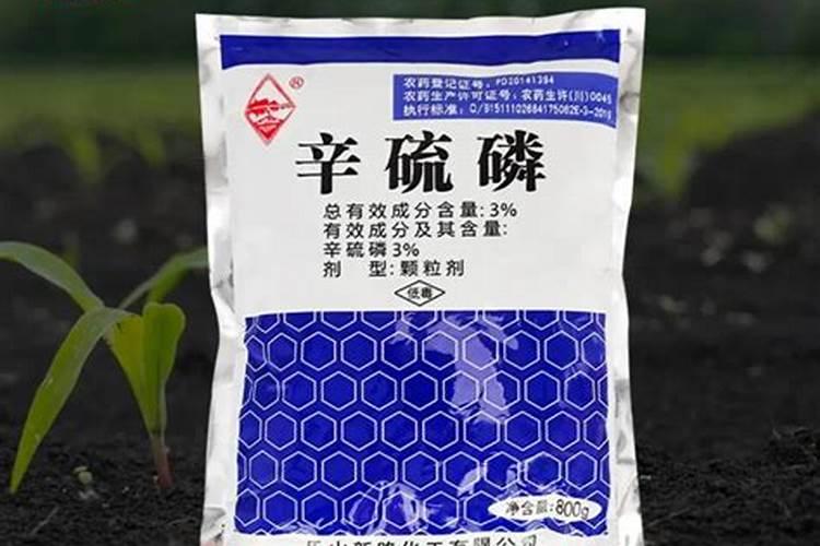辛硫磷颗粒直接撒地里吗