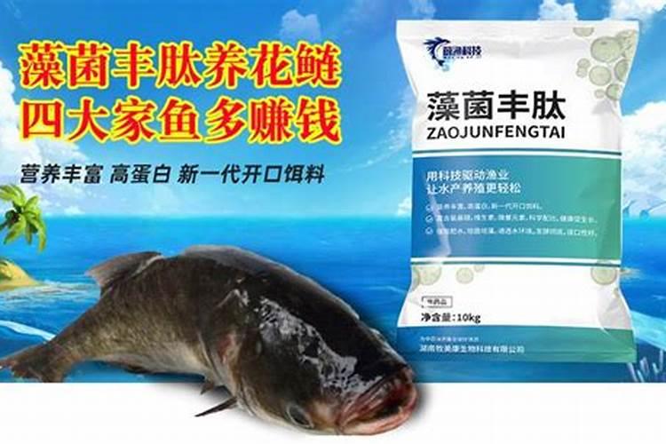 花白鲢养殖水体过瘦 怎么办？