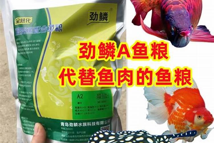 桃树地啥时候用鱼蛋白好