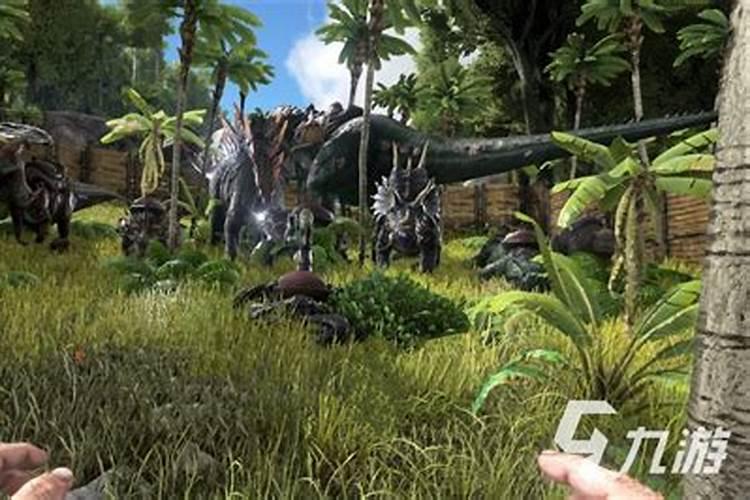 方舟手游屎壳郎在哪里刷方舟生存进化online远古蜣螂怎么做肥料