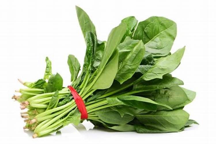 玉米7至11叶用什么叶面肥好