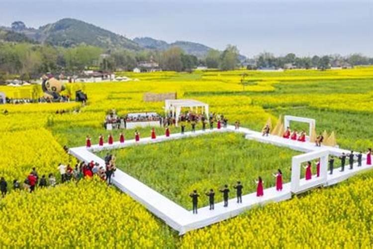 美沣肥料属于什么档次