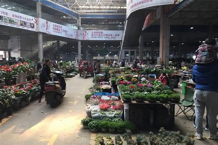 先正达与新洋丰复合肥哪个好