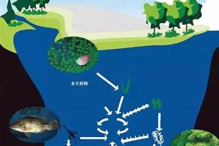 液氮倒入湖中会对湖里的生态环境造成什么影响？