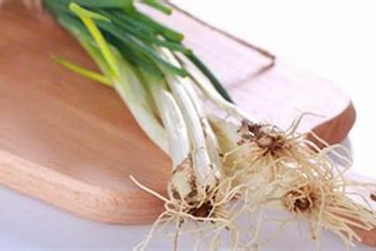 人尿怎么给小葱施肥