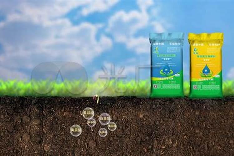 买的有机肥怎么施肥效果好