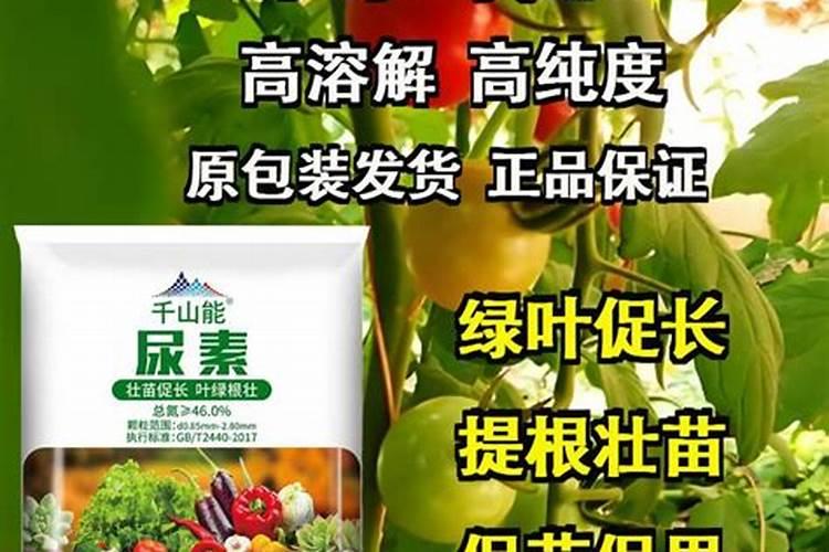 水溶肥料生产配方