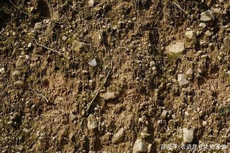 矿源黄腐酸钾怎么用效果好？微生物土壤剂的作用？