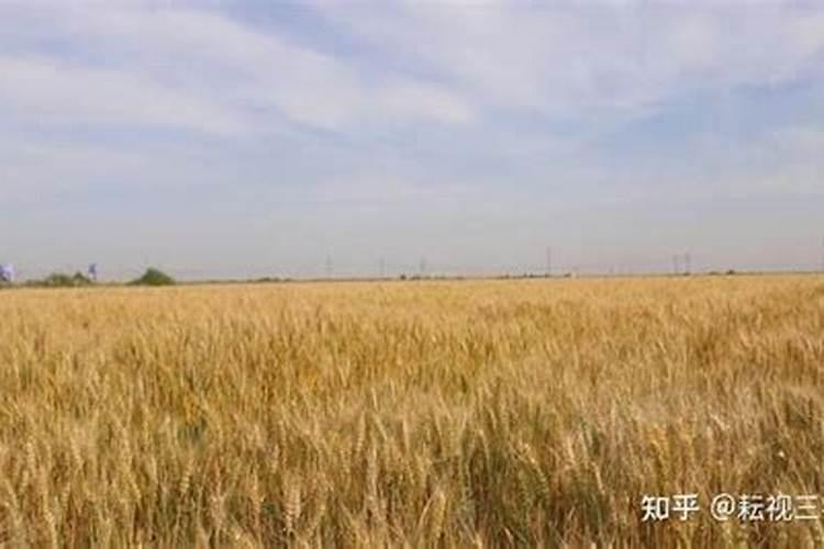 一亩地上了200斤磷肥怎么办