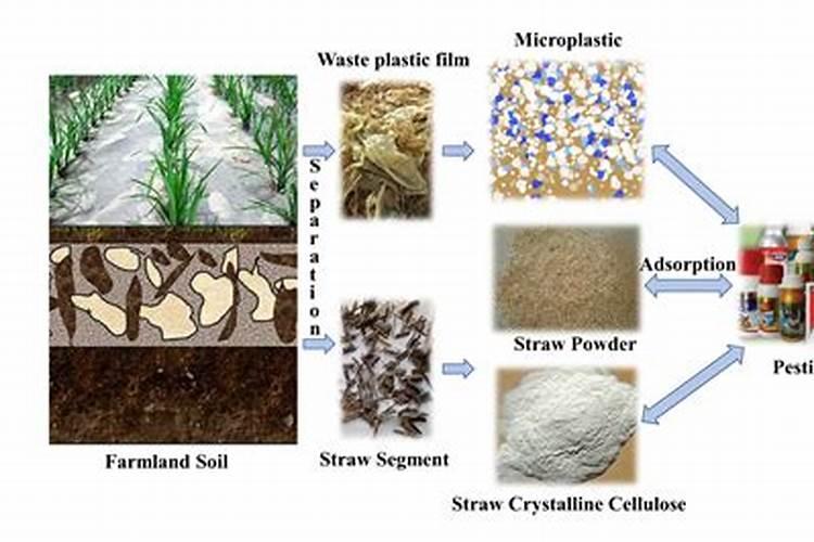 秸杆还田后土壤变化