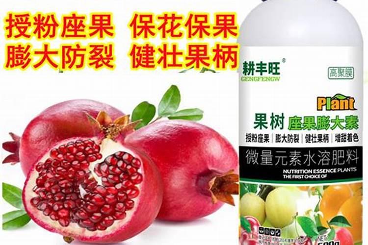 番石榴喷什么药保花保果