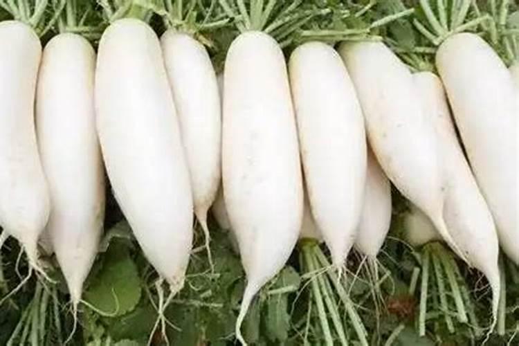 萝卜膨大期施什么肥 萝卜膨大期施什么肥为好