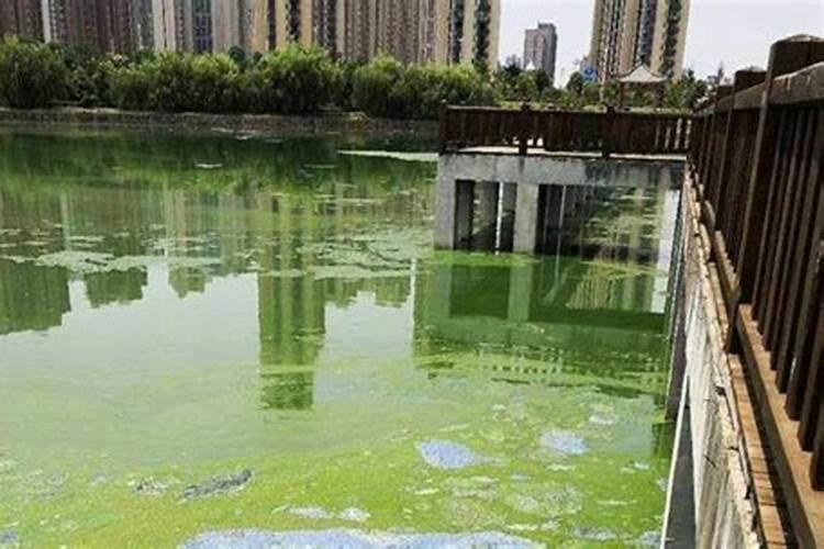 热水器出现水变绿怎么回事