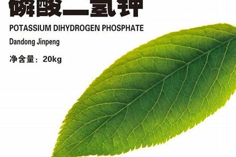 花生后期喷什么叶面肥最好