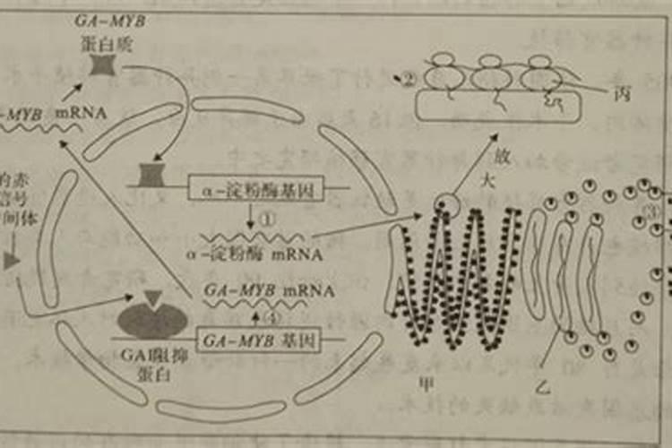 市面增产类产品有哪些