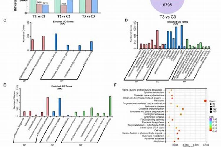 促进植物生长的激素有哪些？各有什么作用？