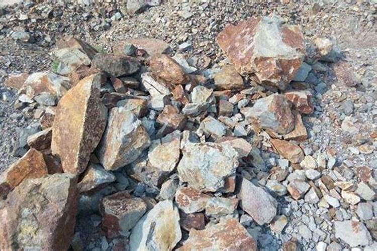 什么是生物菌肥,有什么作用