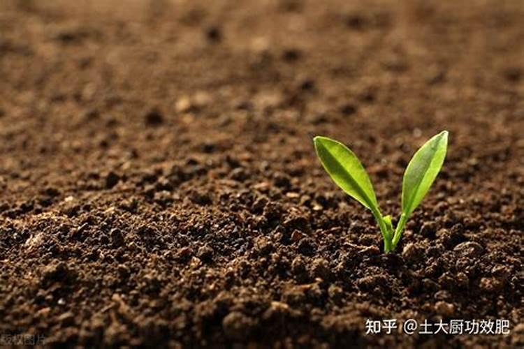 化肥长期施用后,土地变得板结了,怎么办？