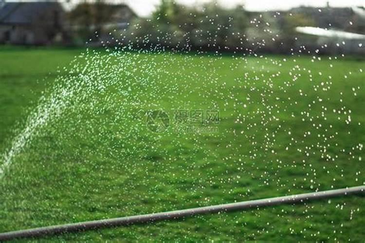 种草皮用什么比例化肥好