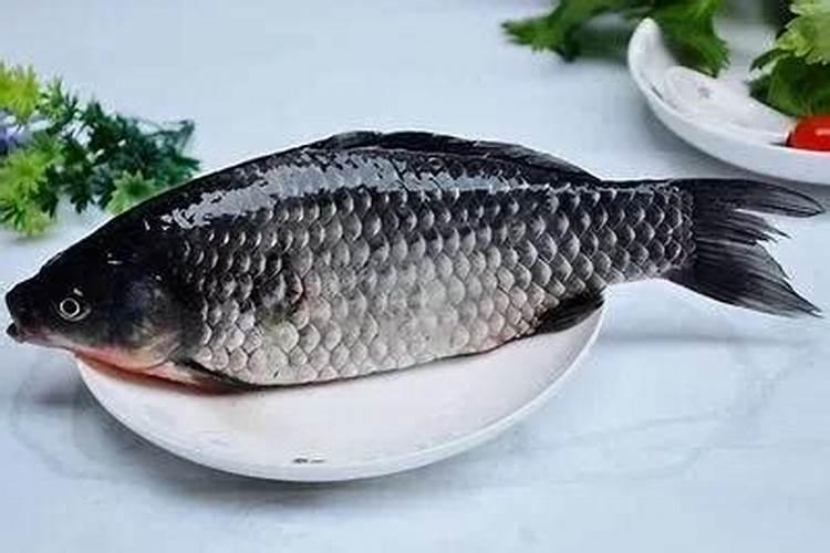 花肥中的鱼腥水鱼腥汁指的是什么