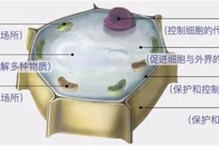 小麦防冻最佳配方