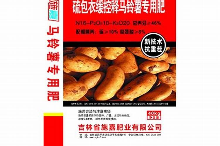 竹芋施什么肥最好