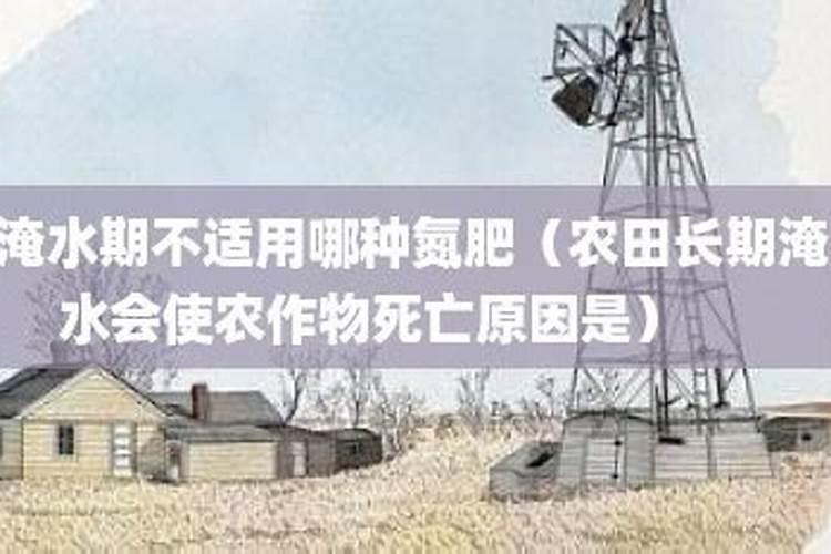 氮肥可以兑水浇花吗