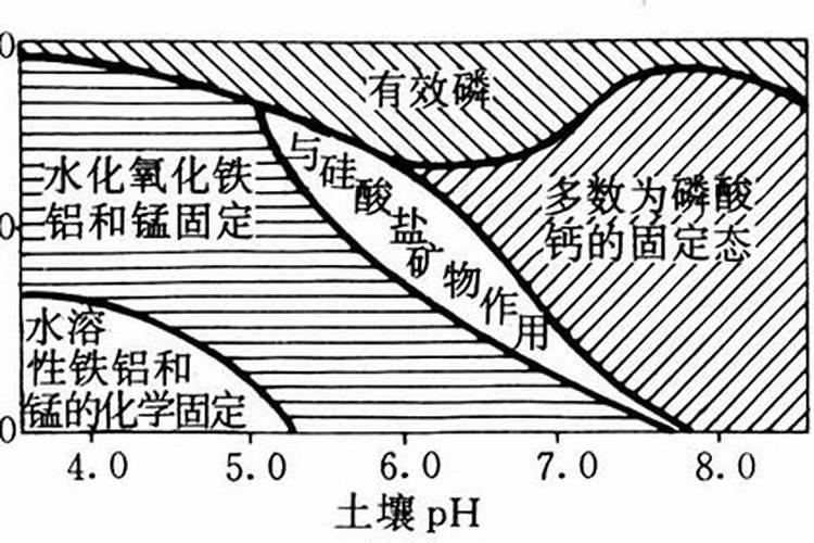 怎样自制氮磷钾肥,怎样施肥效果好