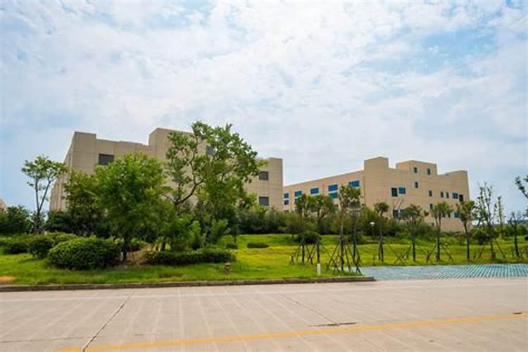 叶面肥市场内幕？