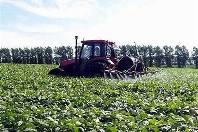 大豆钙肥如何使用？