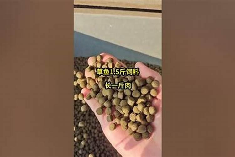 “好媳妇要胖”这个是什么意思？