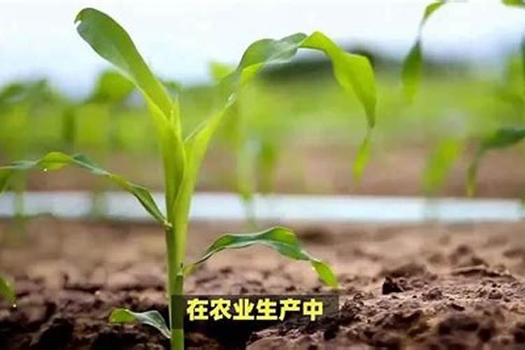 自制氮肥最简单的方法