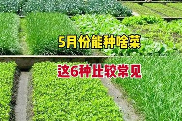 磷肥用于什么农作物 附使用方法