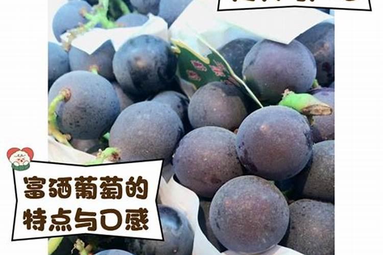 想要让自己种的草莓比较酸甜,有什么好的办法吗？