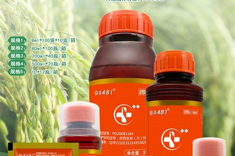 嘉宝果树不施肥能开花结果吗