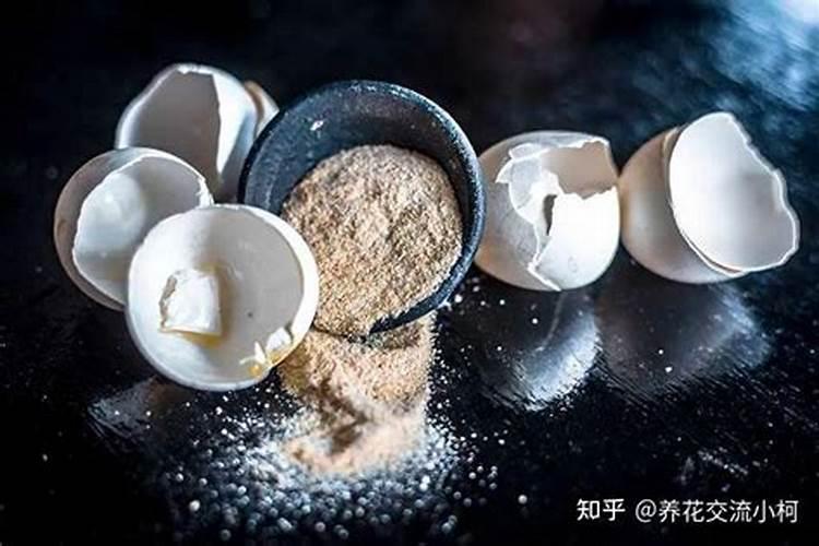 蛋壳做肥需要怎样处理？