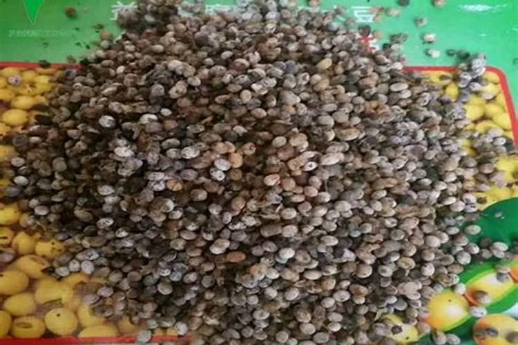 大豆田的施肥技术大豆施肥技术有哪些