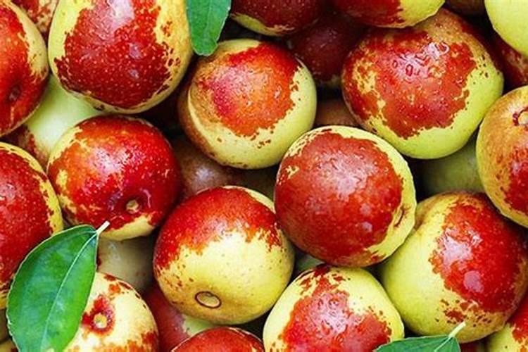 冬枣脱青转色,酸甜可口小妙招