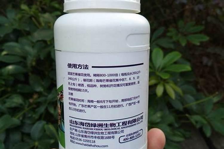 各位专家有没有什么药喷了芒果卖时颜色好,果粉好呢